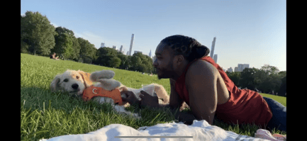 1_Puppy - Xavier Seymour