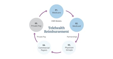 A chart shows 5 circles listing the telehealth reimbursement models surrounding the word telehealth reimbursement