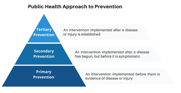 Public Health approach to prevention
