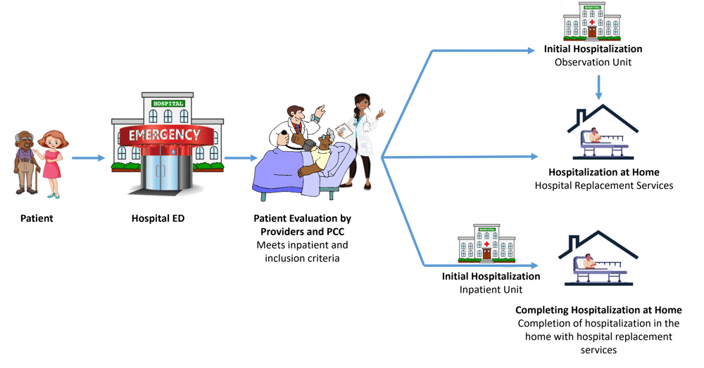 Hah Model Bringing the Hospital Home: Success Stories and Best Practices for ...