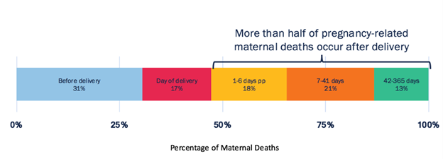 Chart of pregnancy-related maternal deaths