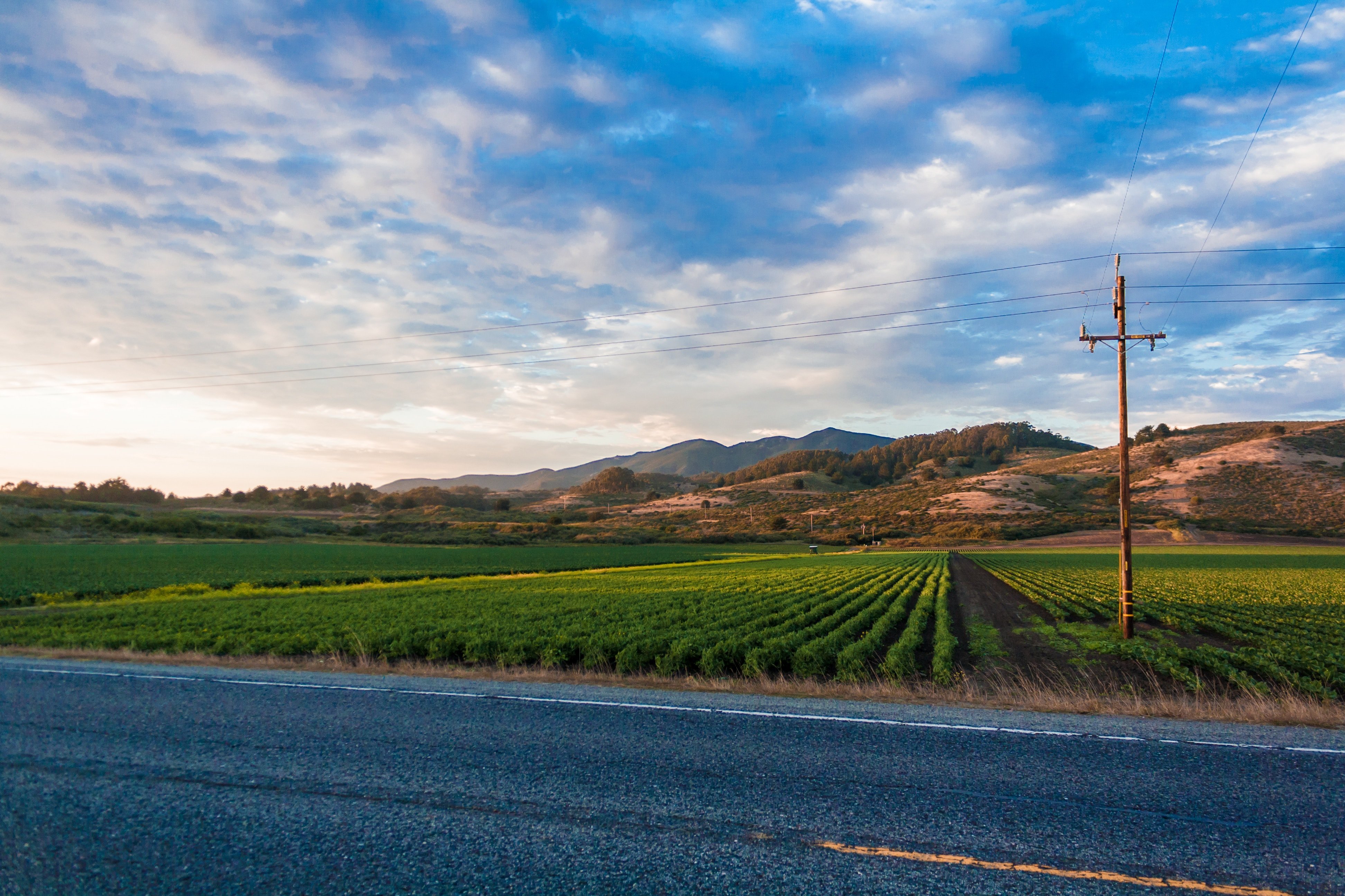 rural landscape